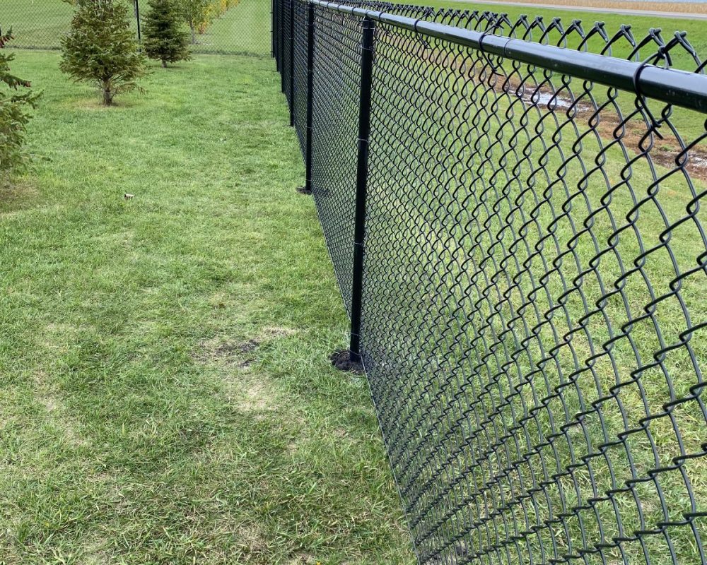 age 2026-03-03 at 8.05.19 PM (1)